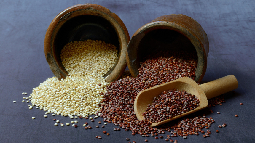    Фото: www.globallookpress.com/Jürgen Pfeiffer