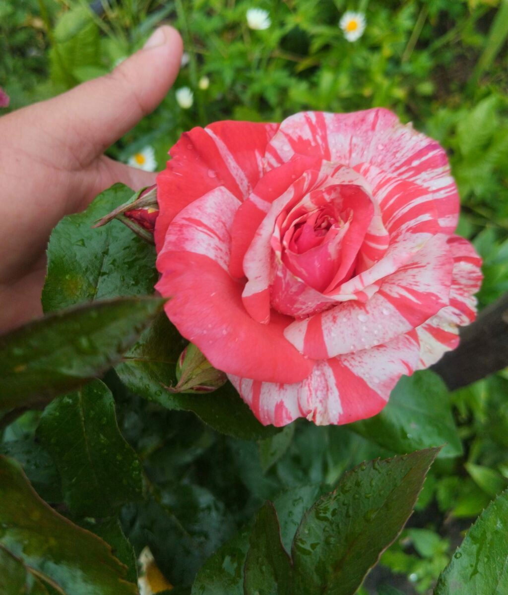 фото Татьяны