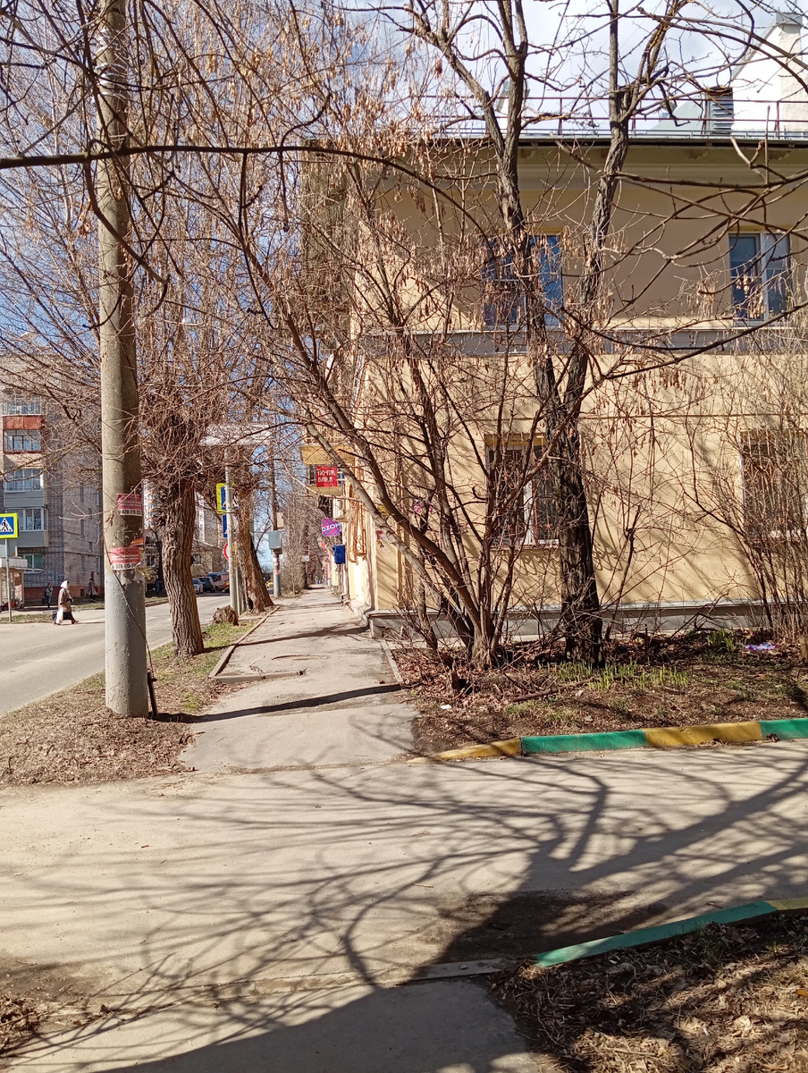 Фото моё. 3 апреля 2025 . Ул.Токарева ,г.Тула.