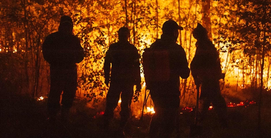 Фото: Иван Никифоров/ТАСС