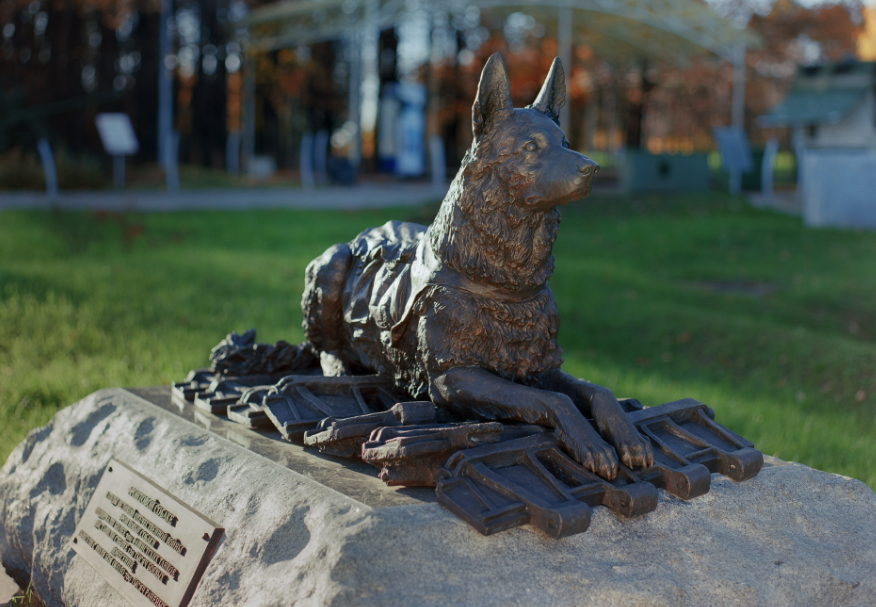 Памятник фронтовой собаке на Поклонной горе