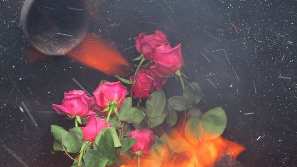 Фото: Пресс-служба Северо-Западного управления Россельхознадзора