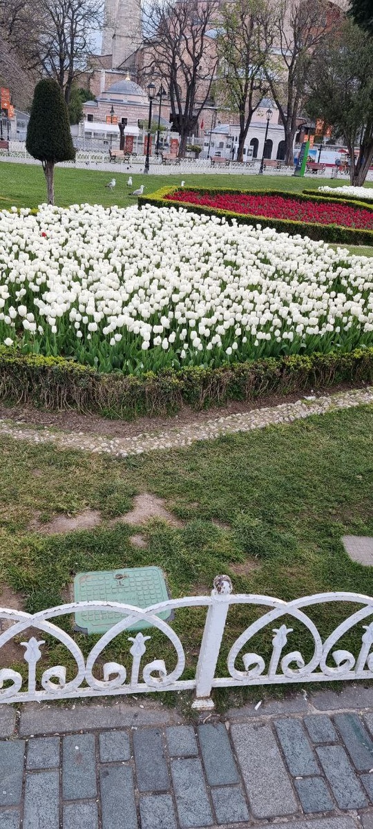 Площадь Султанов Ахмед