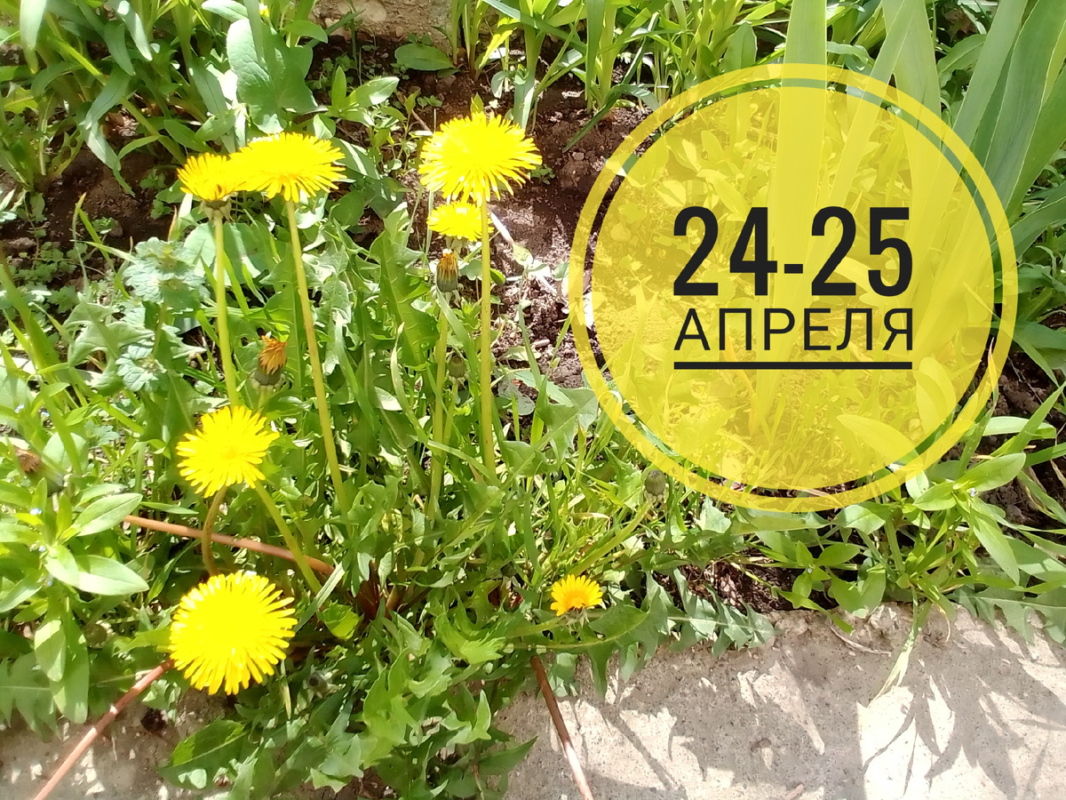 #нумерология 24-25 апреля 2025 года