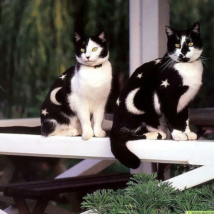 источник Яндекс-картинки