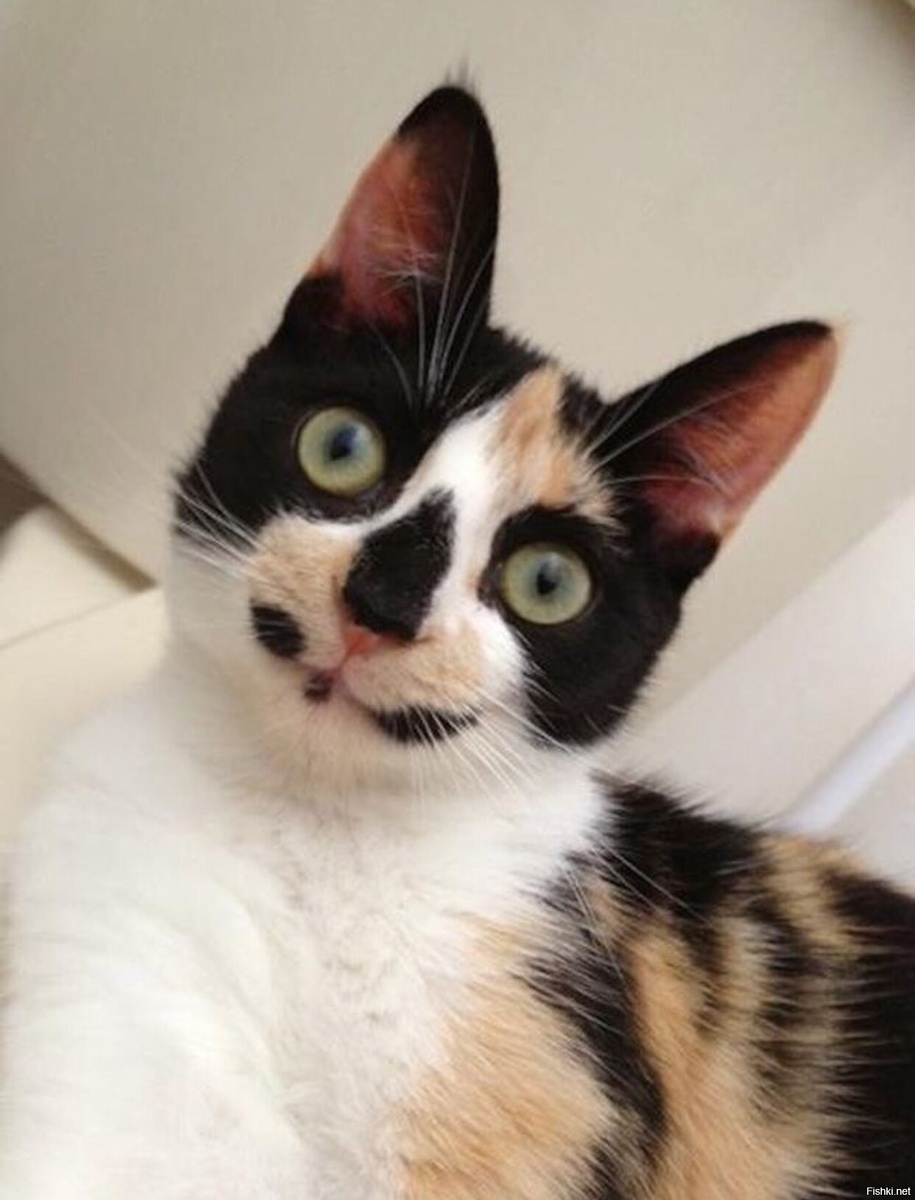 Ну очень любопытно! источник Яндекс-картинки