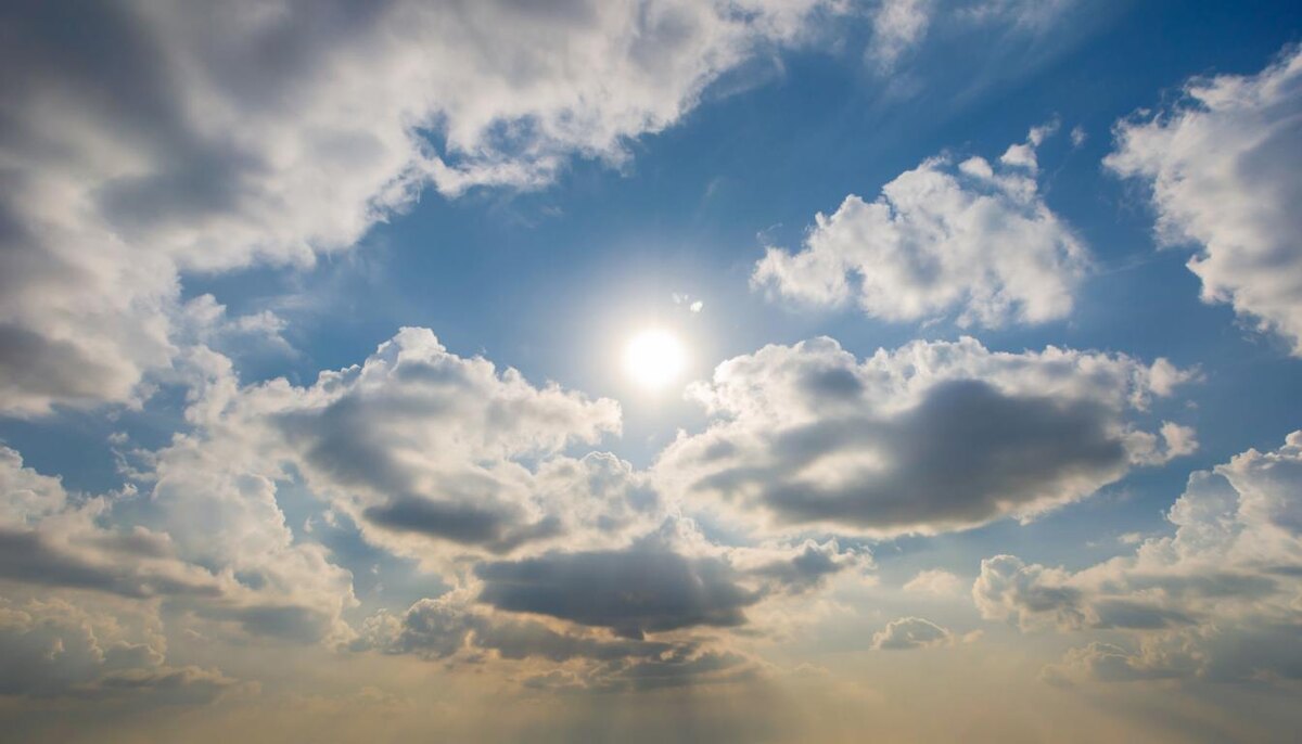 Вода Инь на Змее в больше степени материально заинтересованы, чем другие представители