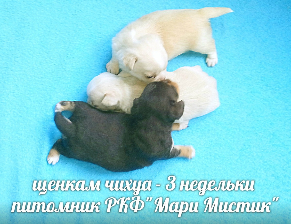 Энтони 3 недели