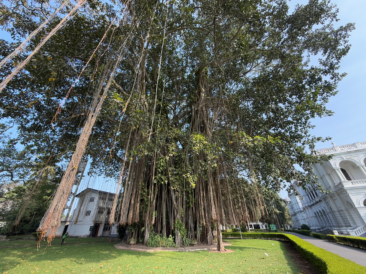 Национальный музей Коломбо, Коломбо