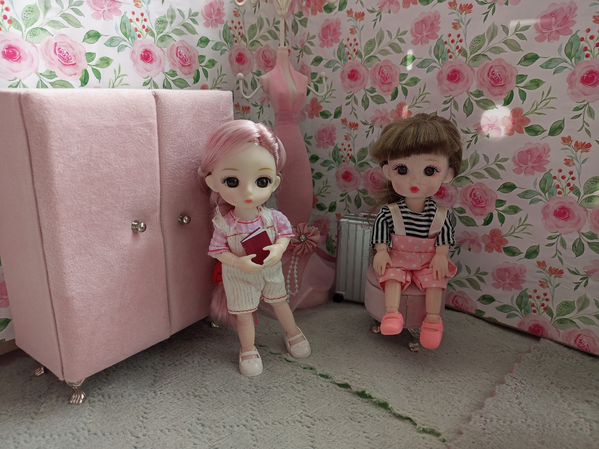 Ксюша и Алиса. 