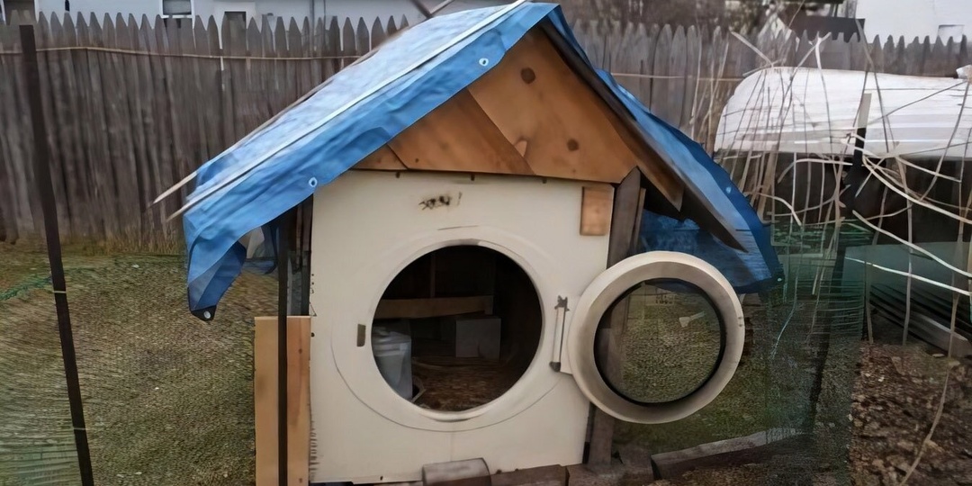 Почему нельзя оставлять дверцу стиральной машины открытой надолго