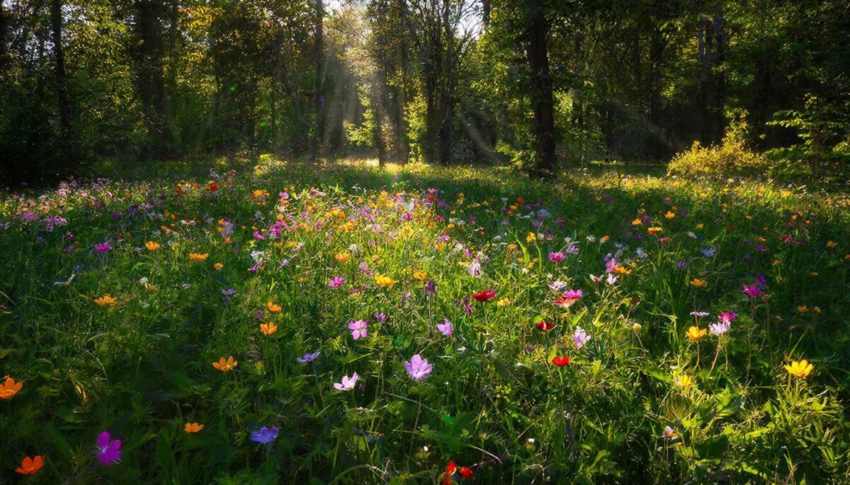 Дерево Инь на Змее точно не останется незамеченным, а всегда будет в центре внимания. 