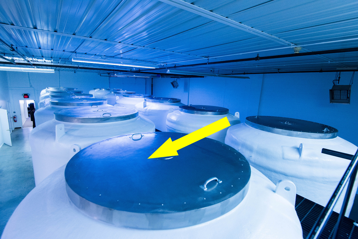    Российская крионика может ли заморозка вернуть вас из мертвых