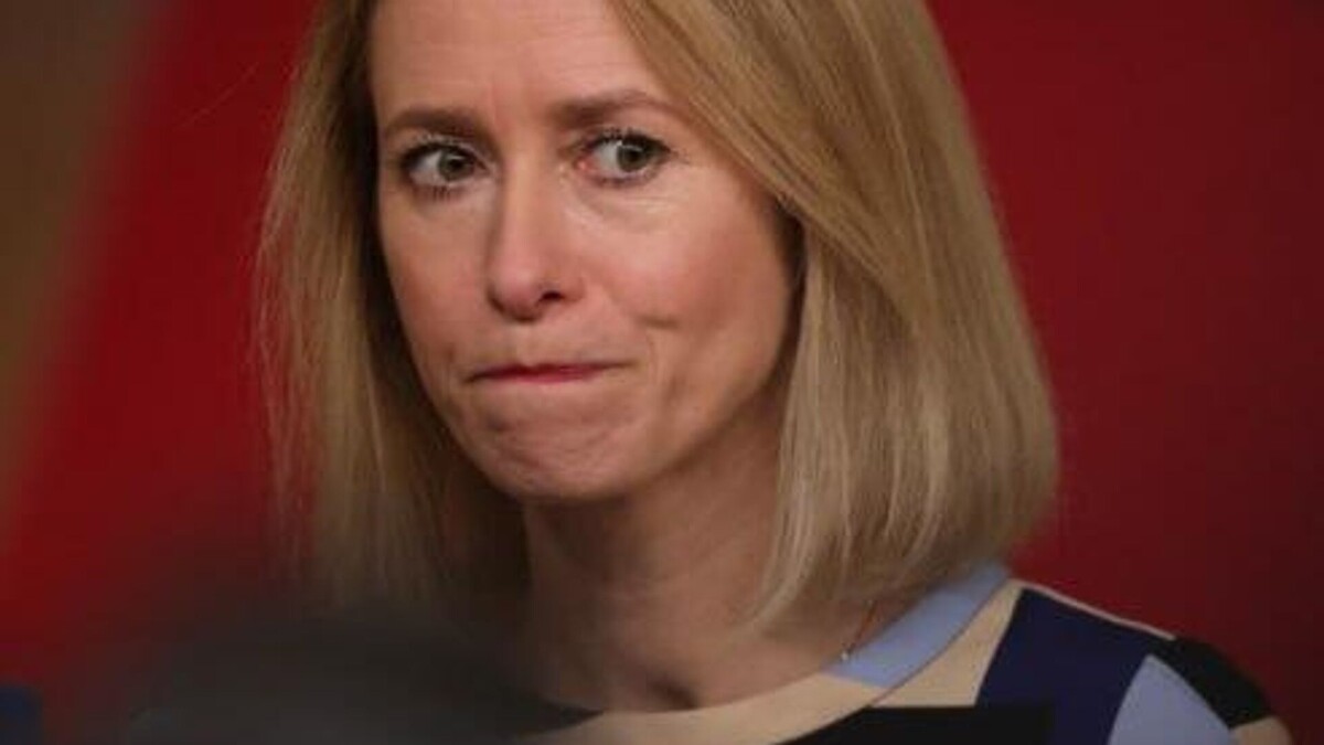 Взято из открытых источников.