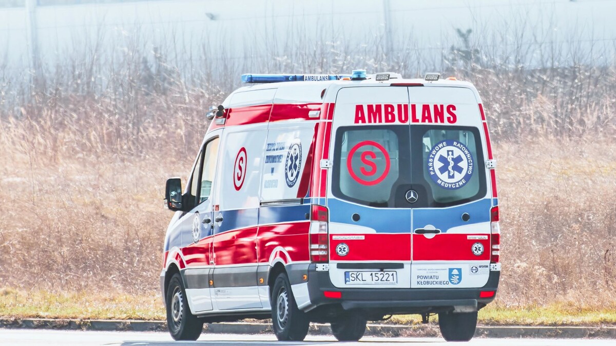    Фото: alexgo.photography/Shutterstock/Fotodom