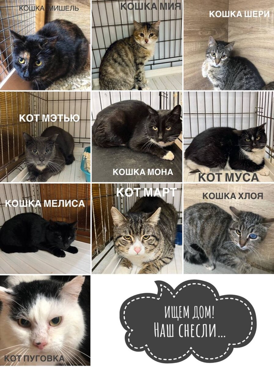 Большинству мы продолжаем искать дом. Мало времени!!! 