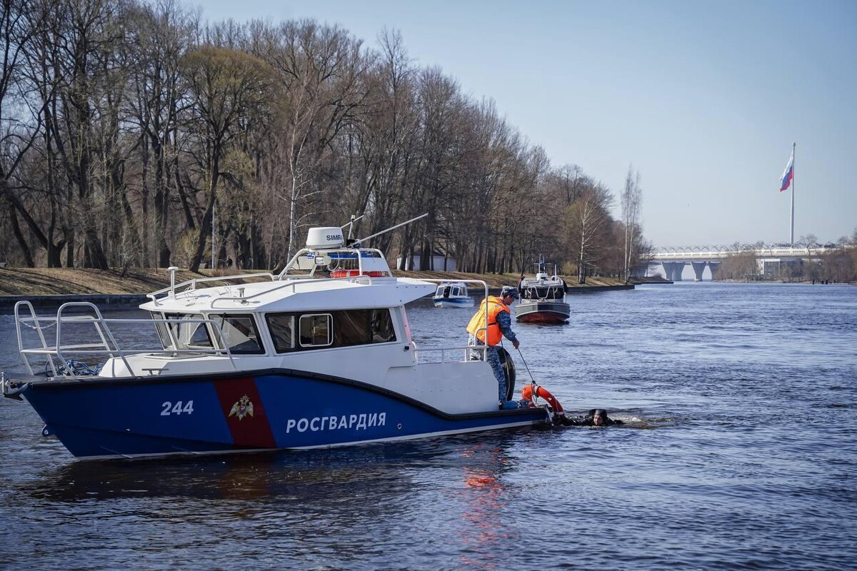    Фото: t.me/rosgvardszo