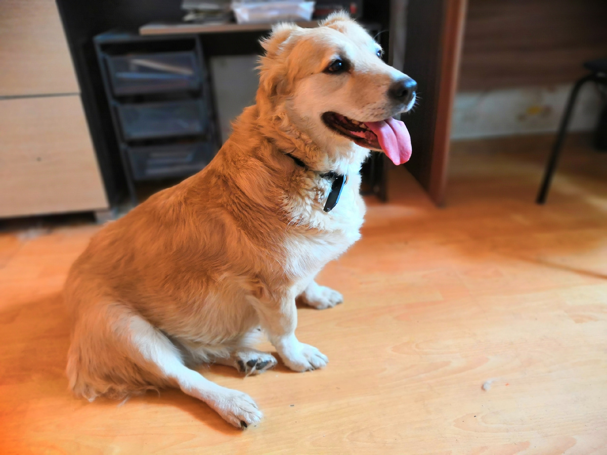 ВНЕШНОСТЬ ОБМАНЧИВА 🤷‍♀️