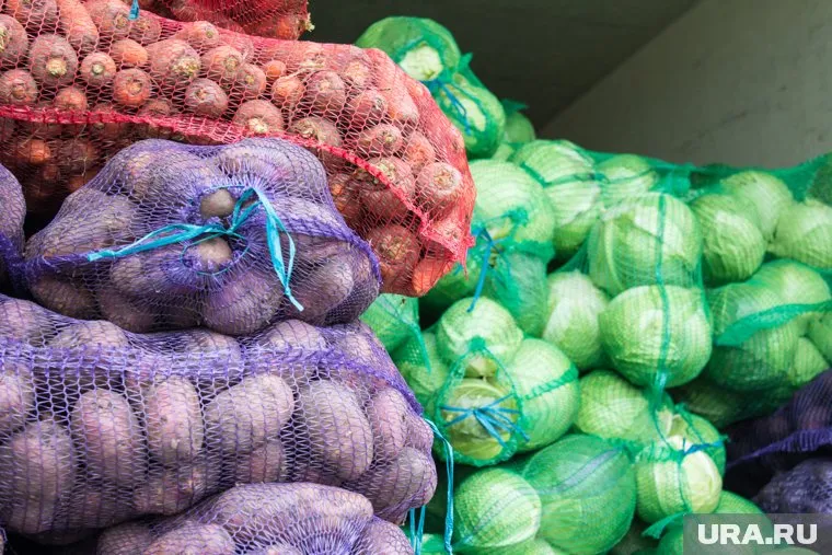 Капуста в Прикамье подорожала более чем на 15%
Фото: Александр Елизаров © URA.RU