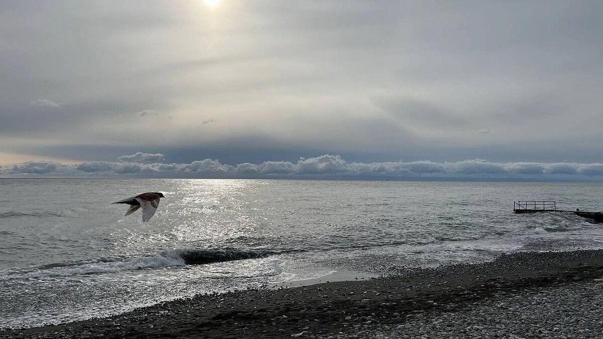    Фото: телеканал «Краснодар»