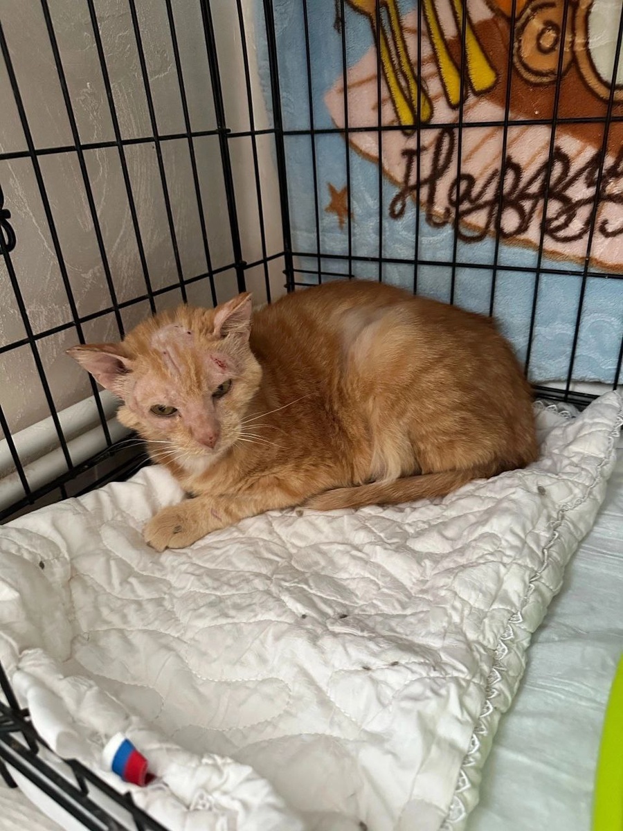 Хочется обнять и сказать: "Все еще будет".