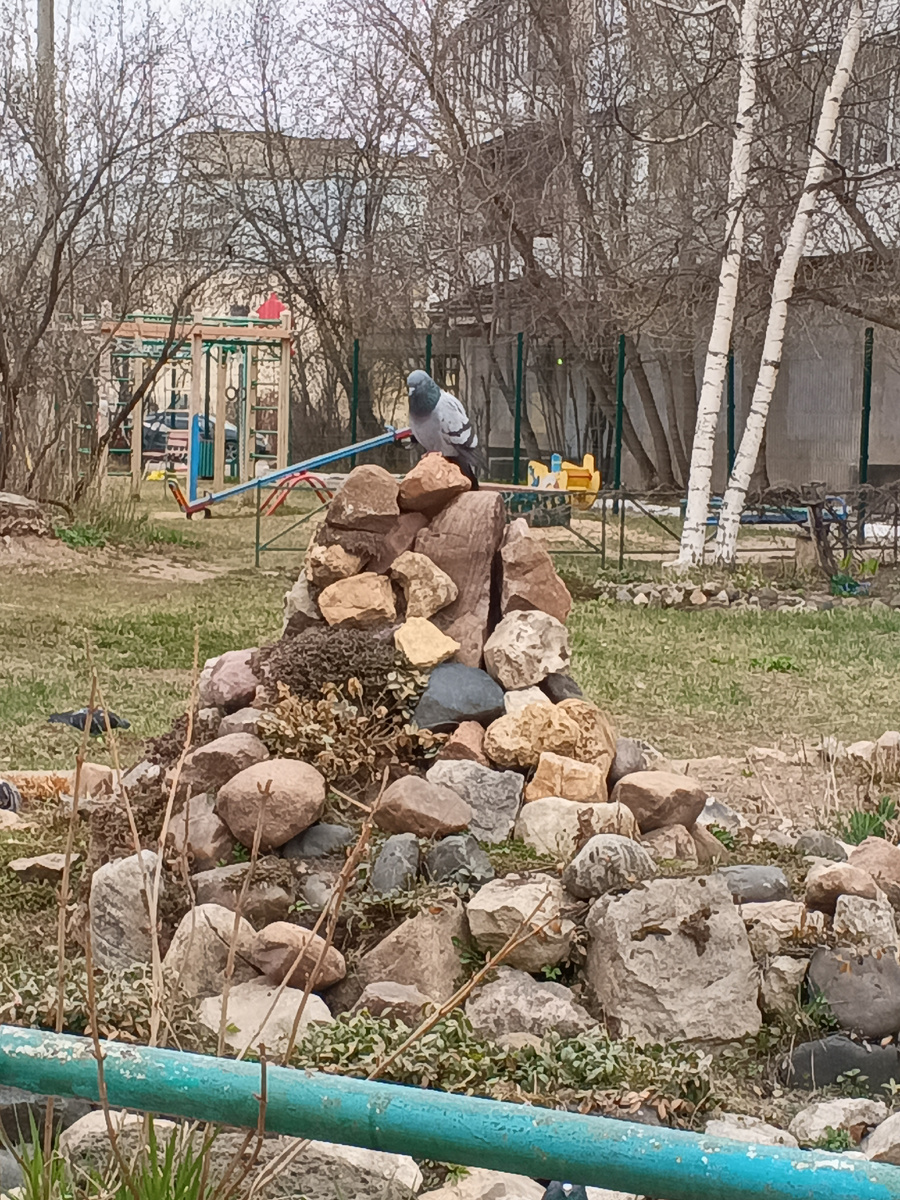 Орел! Ну орел же?))