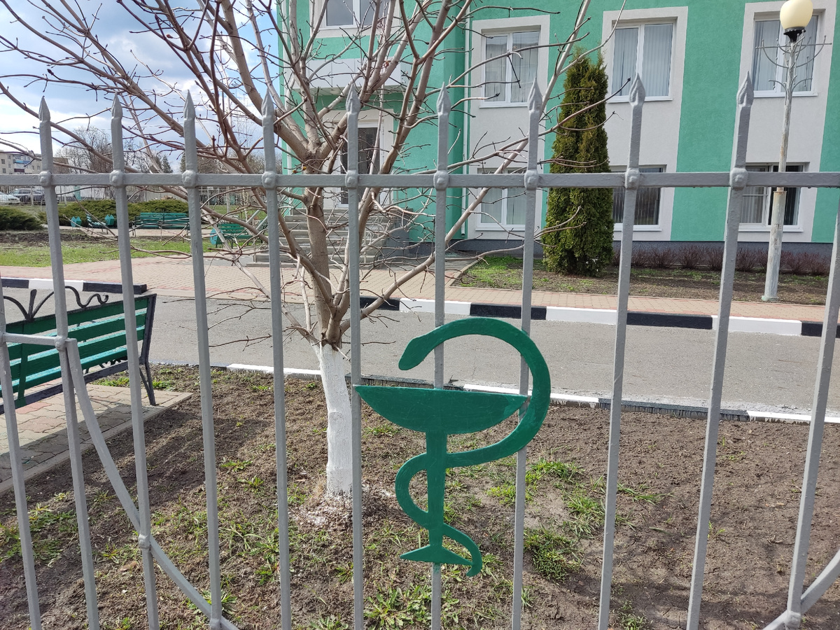 Во дворе поликлиники. Фото автора