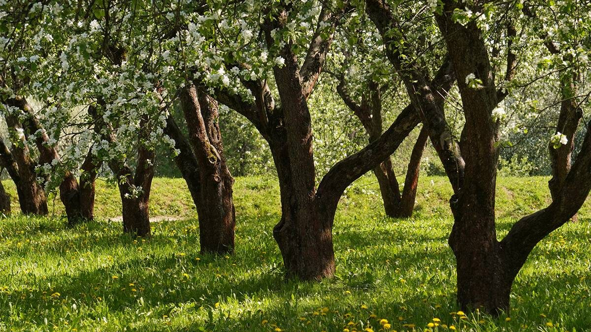    Фото: Анатолий Цымбалюк / Вечерняя Москва