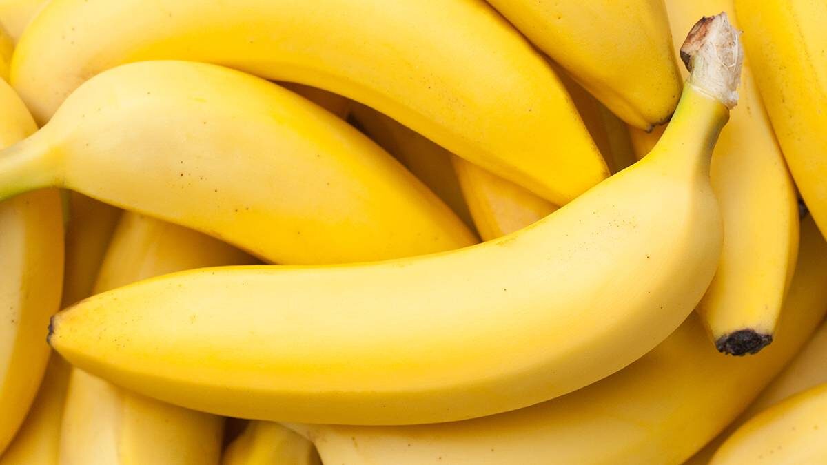    Фото: Shutterstock