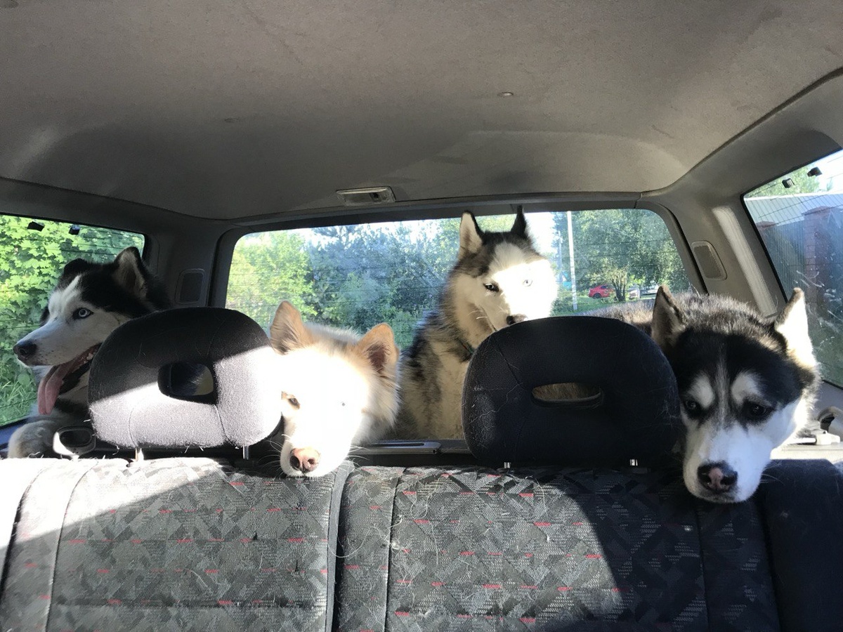 Дорога домой❤️ 