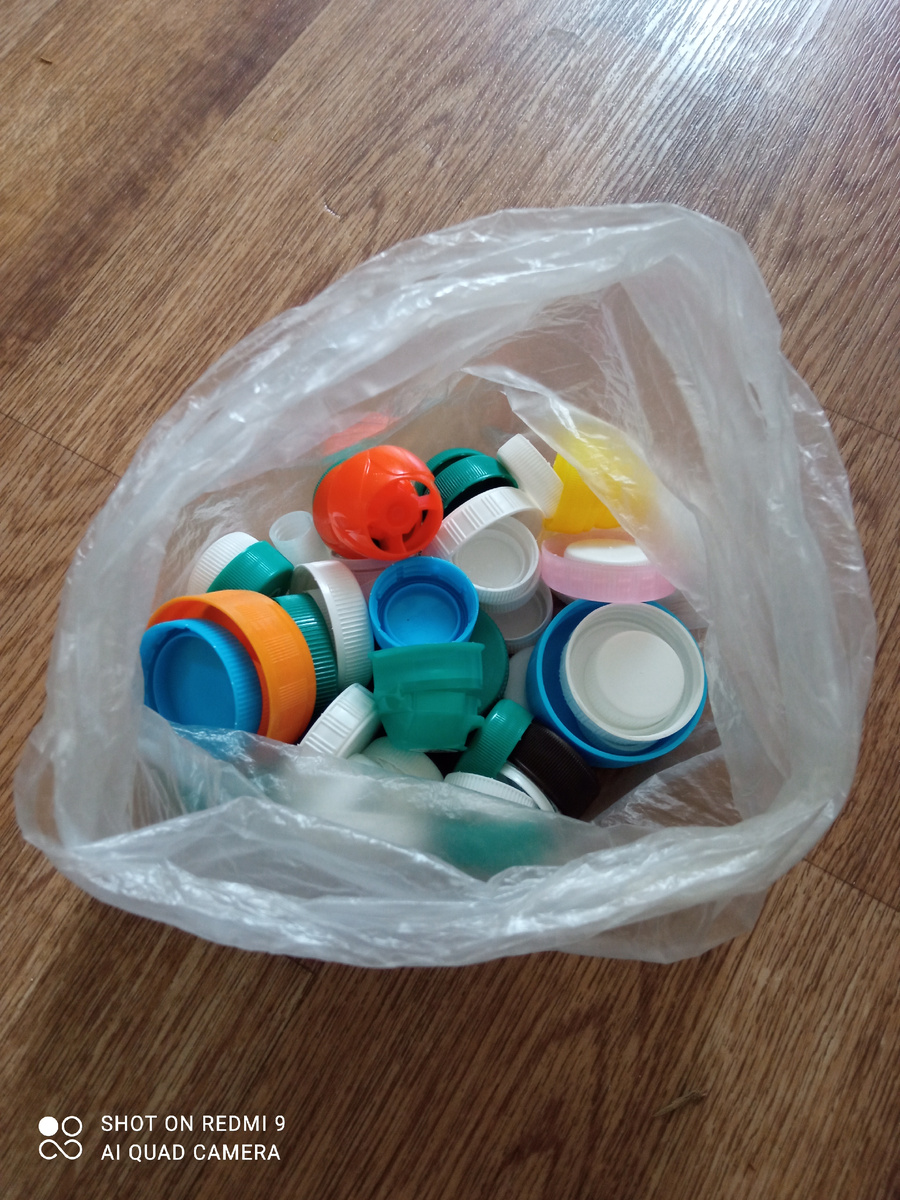 Крышечки на переработку. Фото автора. 