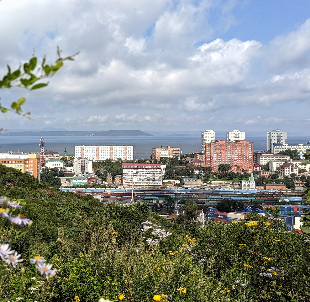 Вид с Крестовой сопки в августе. 