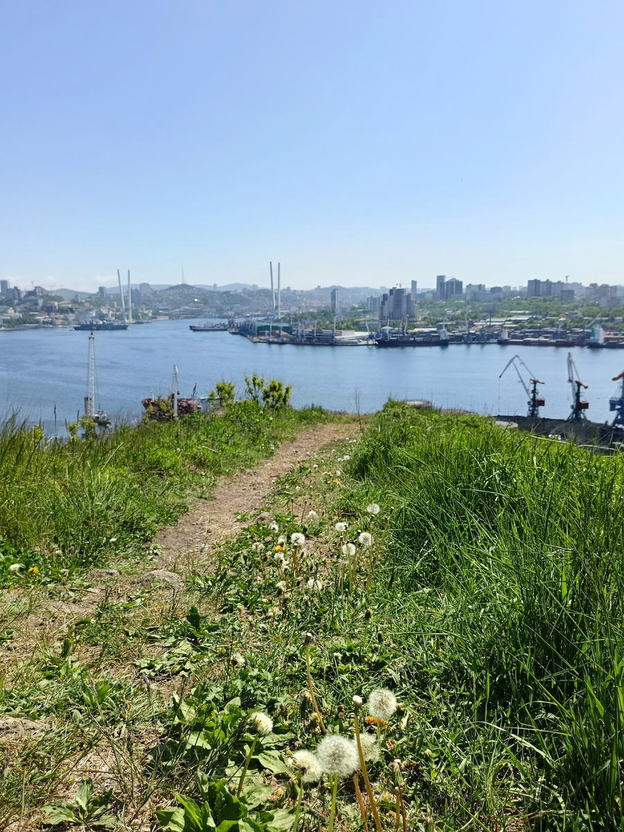 Крестовая сопка в мае. 