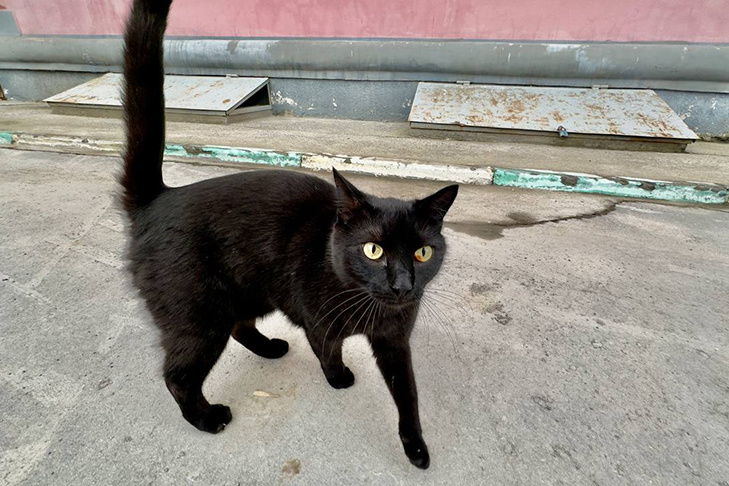    Фото Андрея Волохова, VN.ru