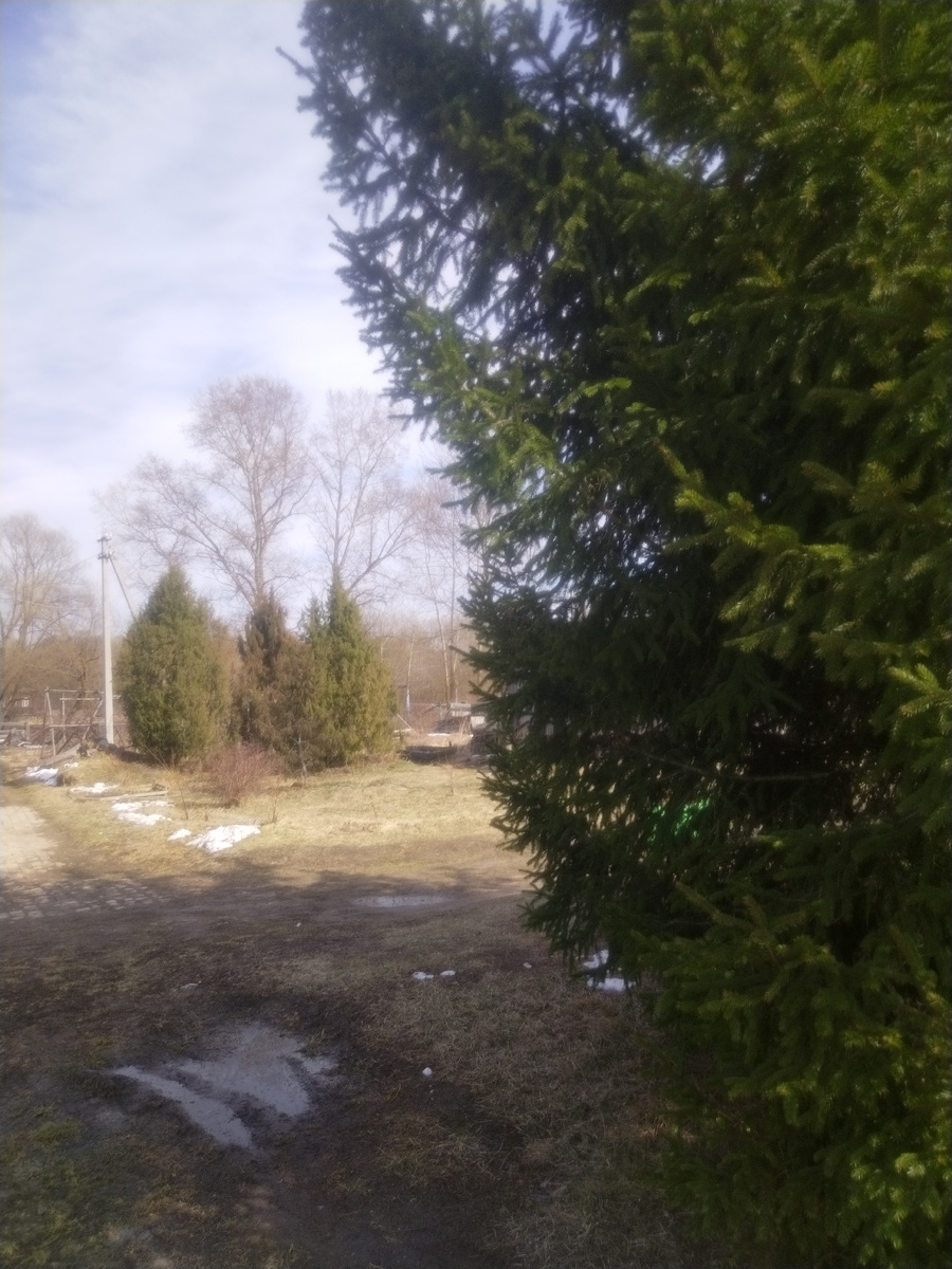 Потеплело и снег сошёл очень быстро