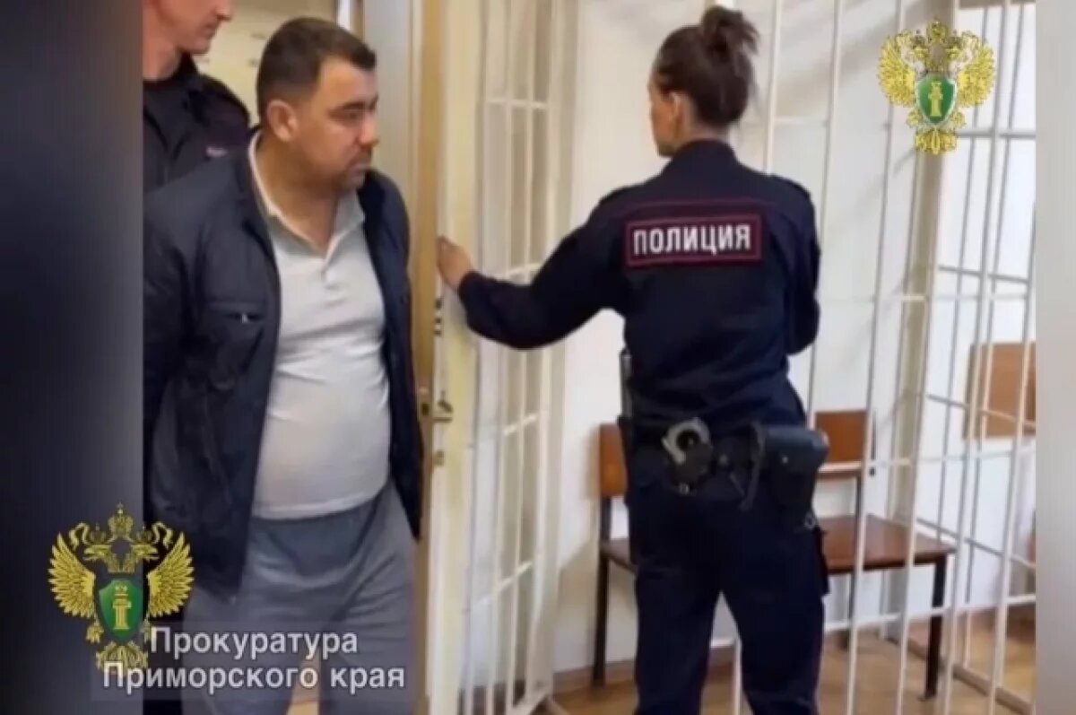    Водителю автобуса назначили наказание в виде лишения свободы на 2 года и 6 месяцев