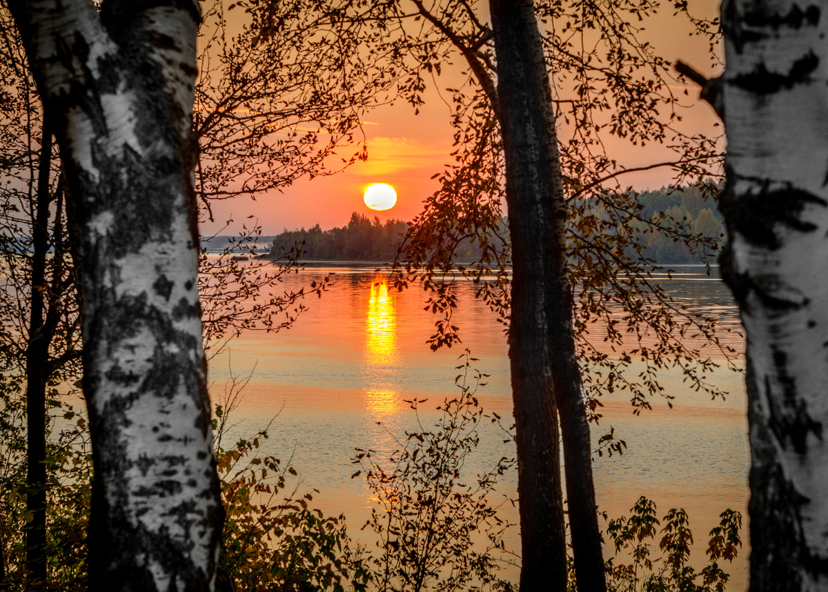 фото: Sergey Metelitsa/Global Look Press