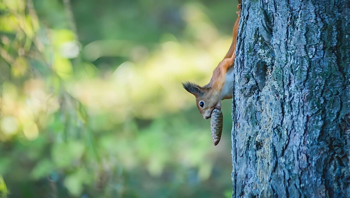     Источник: 1MI