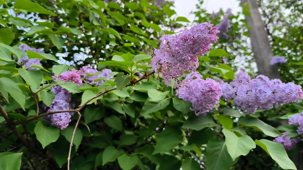    Фото: Bulkin Sergey/news.ru/Global Look Press