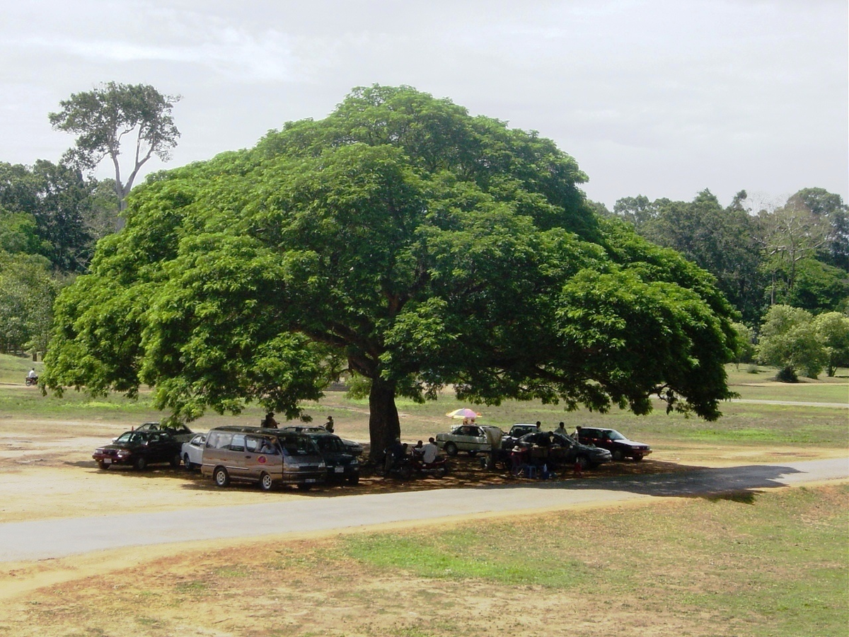 Мы очень надеемся, что сильного ветра не будет.