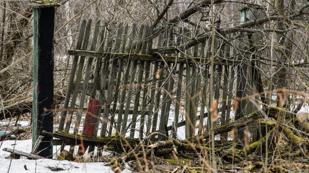    Фото: Ilya Moskovets/Globallookpress