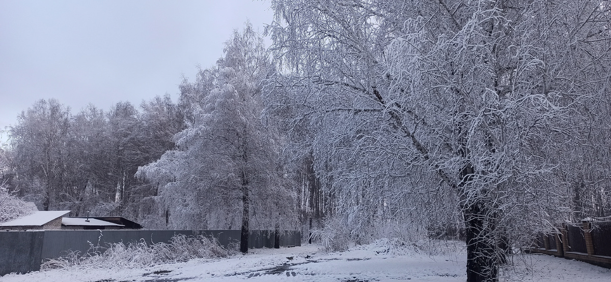 Это вот так у нас ещё три дня назад было. Все, что растаяло, засыпало вновь. А у меня, между прочим,  уже редиска взошла😂