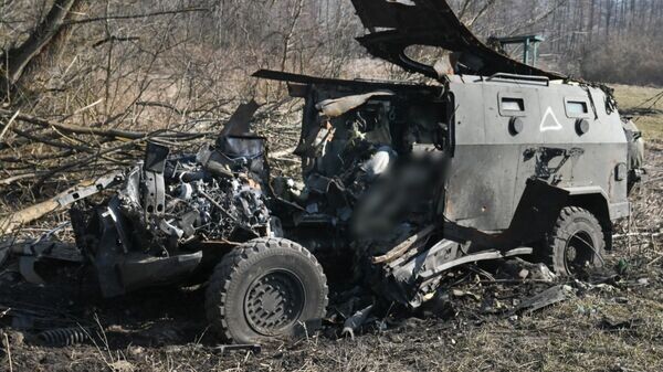    © Станислав Красильников