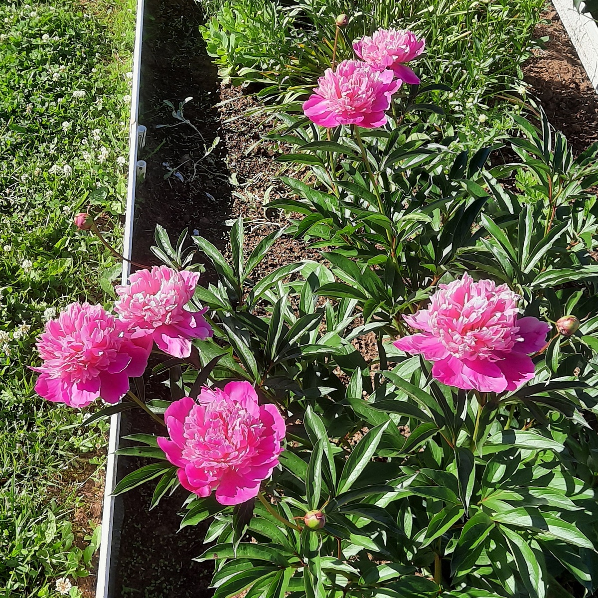 Конец мая 2024 год.