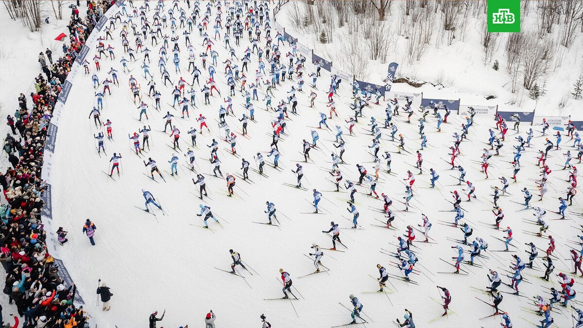    Фото: РИА Новости © 2025, Дмитрий Дубов