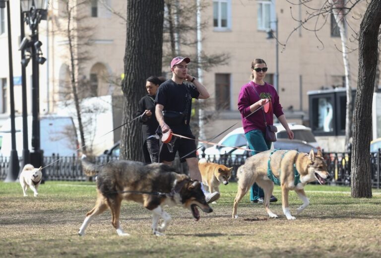    Фото: Агентство «Москва»/Новосильцев Артур Анфиса Слепцова