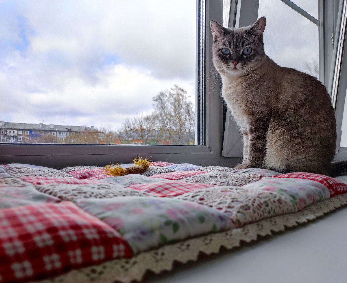 Моя Сонюшка 💓🤗😻