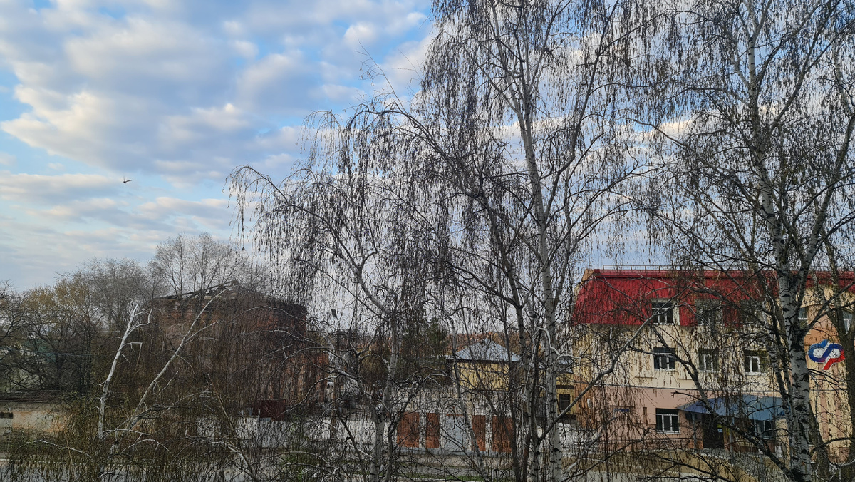 16.05.2025г. Храм призрак ещё виден за деревьями. Фото автора