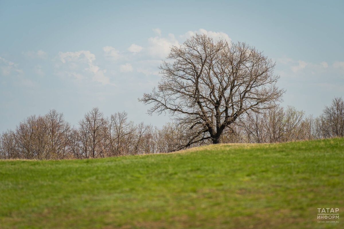 Фото: © Владимир Васильев / «Татар-информ»