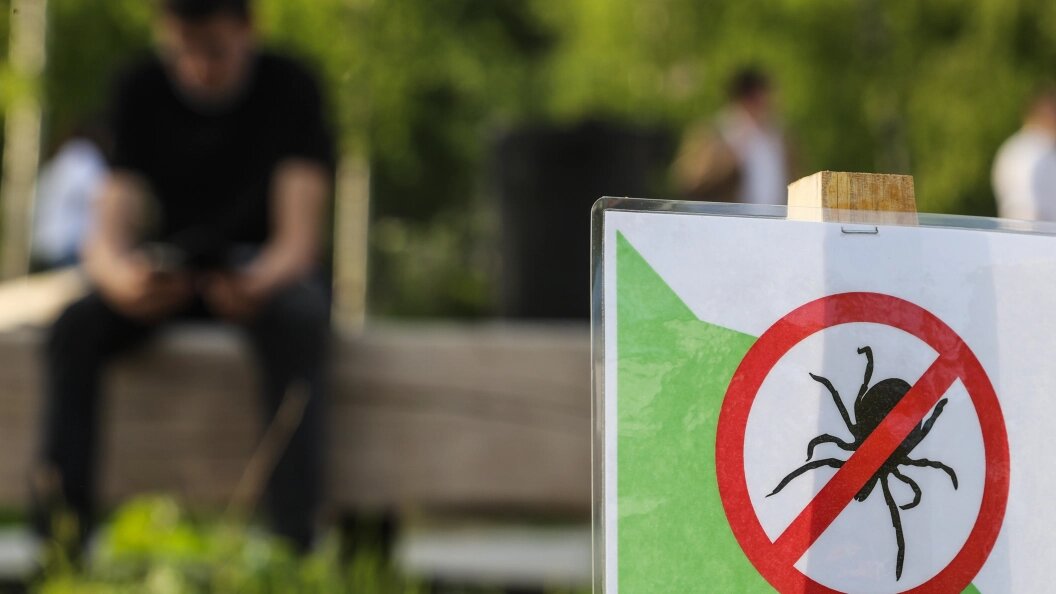    © Bulkin Sergey/Globallookpress